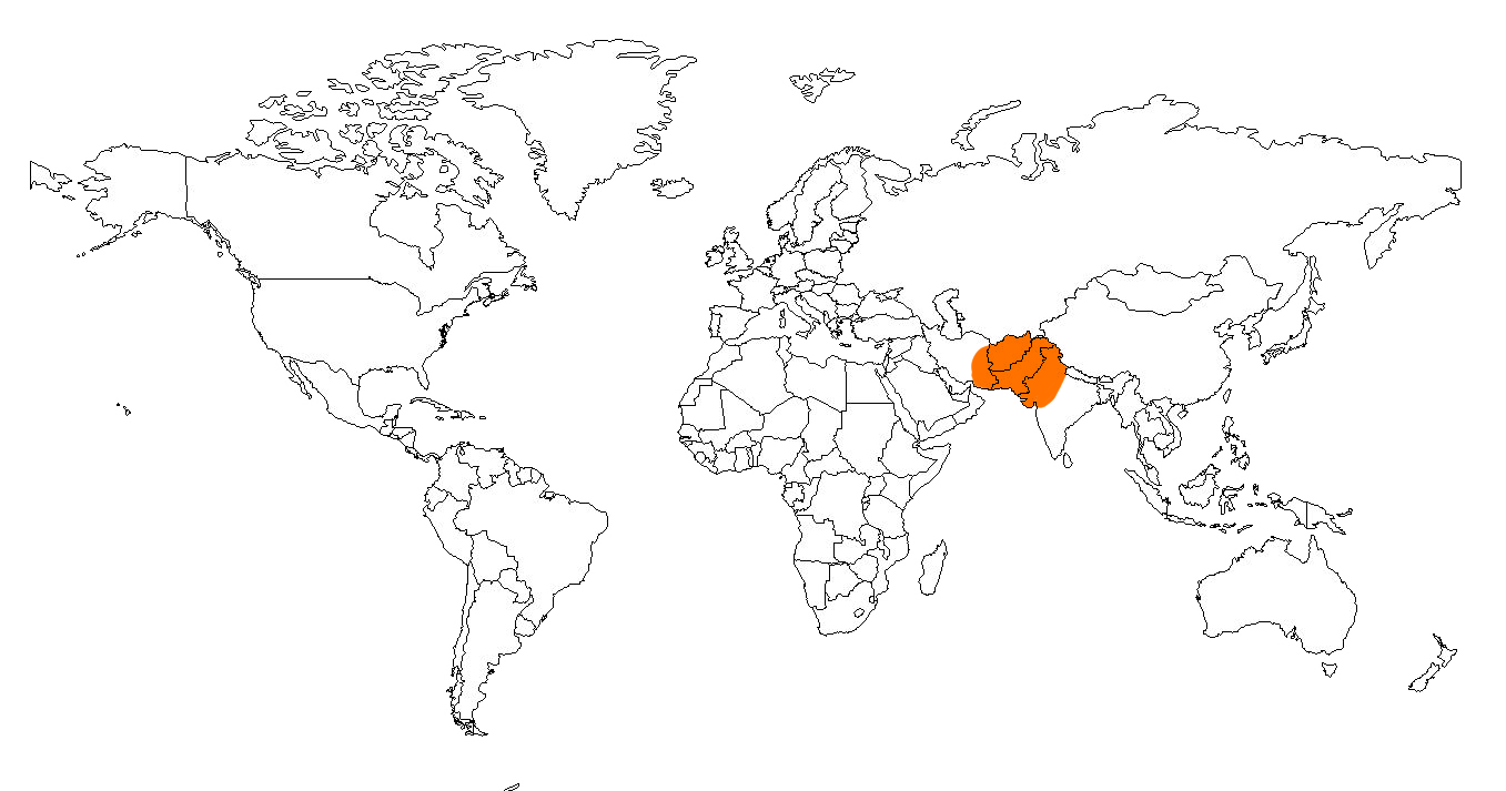 Carte du monde avec réparation des geckos léopard