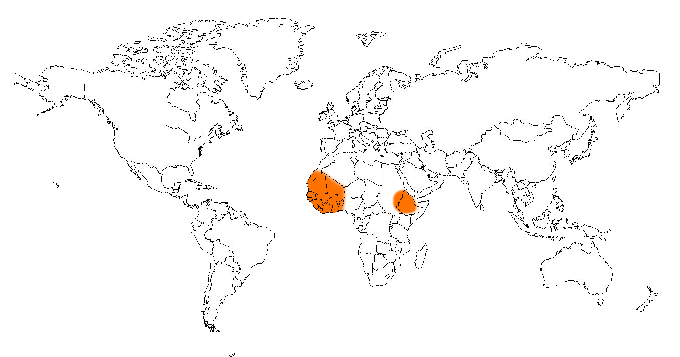 Carte du monde avec réparation des geckos léopard
